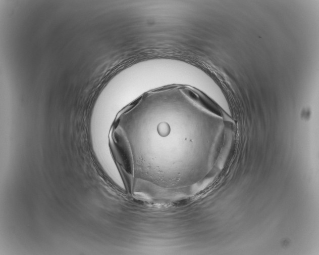 X0000094820517200711301632