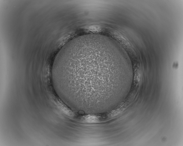 X0000094820518200711301632