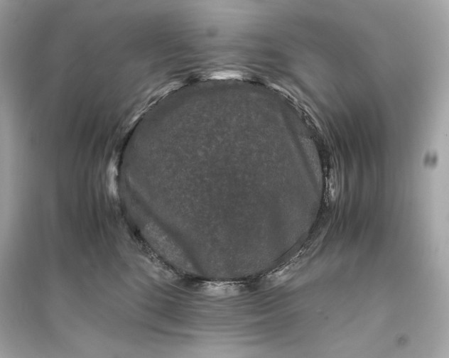 X0000094820520200711301632