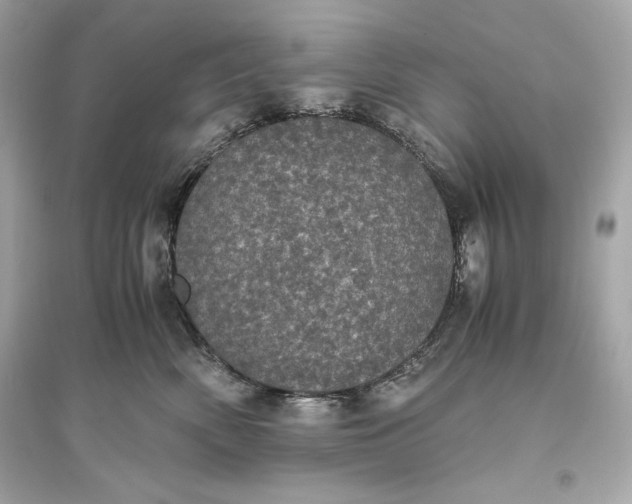 X0000094820522200711301632