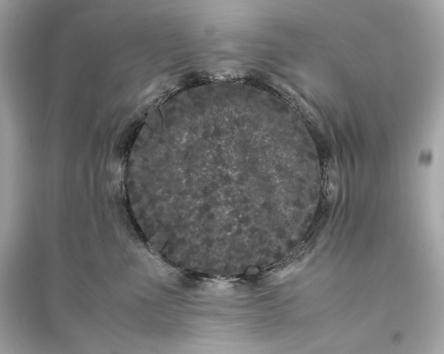 X0000094820523200711301632