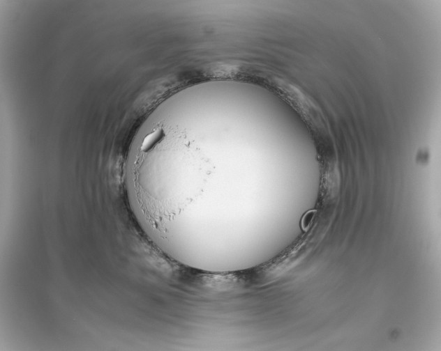 X0000094820525200711301632