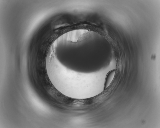 X0000094820526200711301632