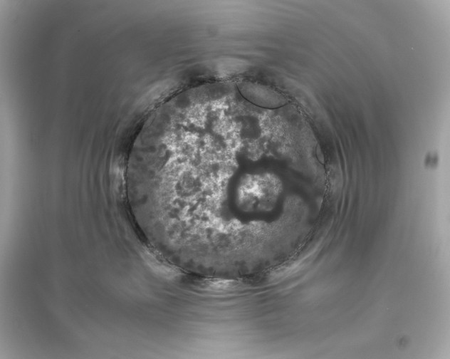 X0000094820527200711301632