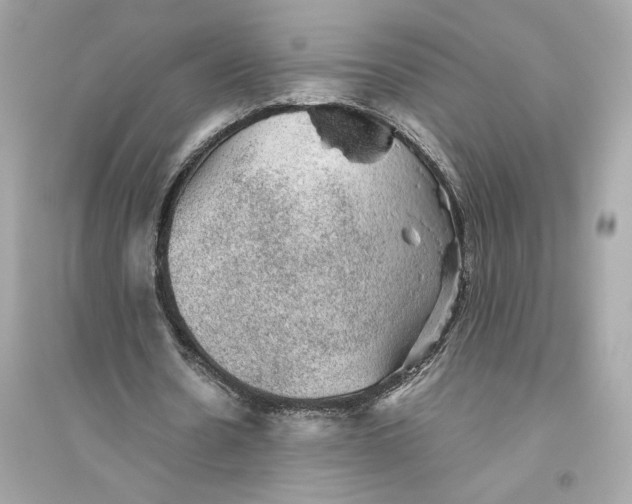 X0000094820530200711301631