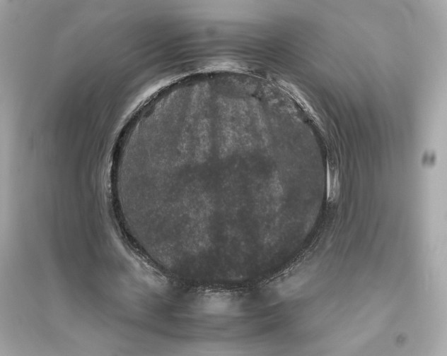 X0000094820531200711301631