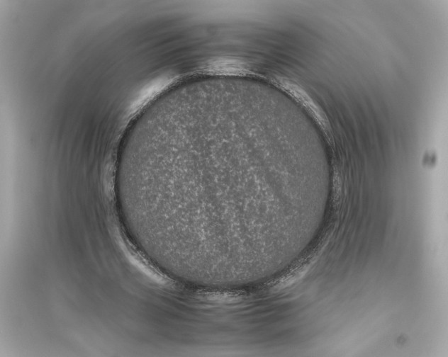 X0000094820533200711301631