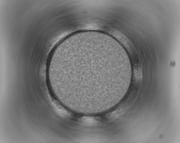 X0000094820534200711301632