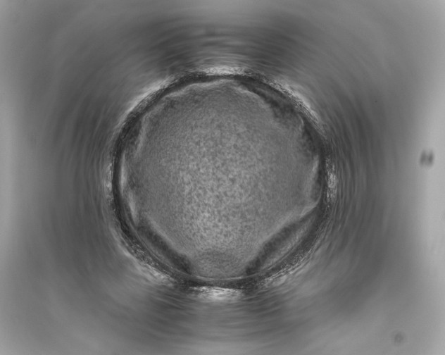 X0000094820539200711301632