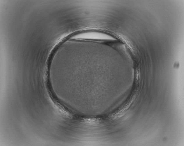 X0000094820540200711301632