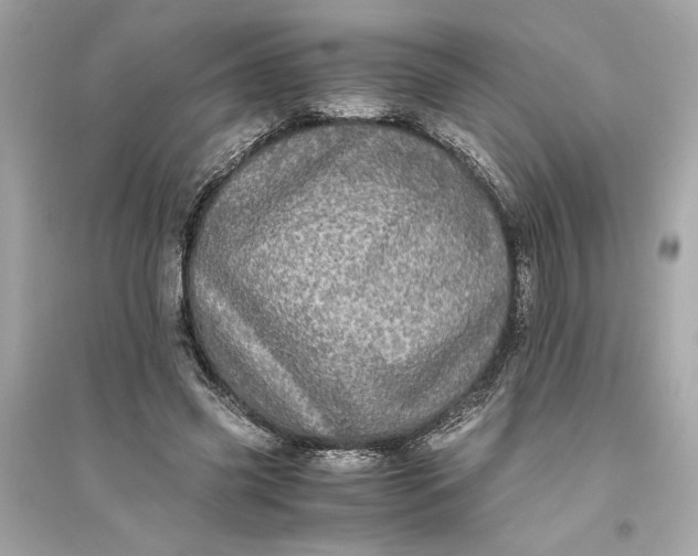 X0000094820541200711301632