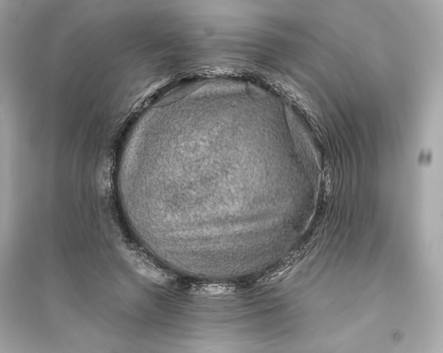 X0000094820546200711301632