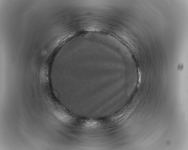 X0000094820547200711301632