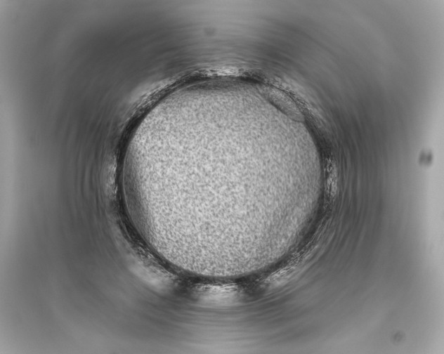 X0000094820548200711301632