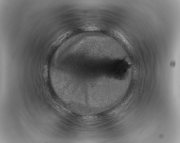 X0000094820549200711301632