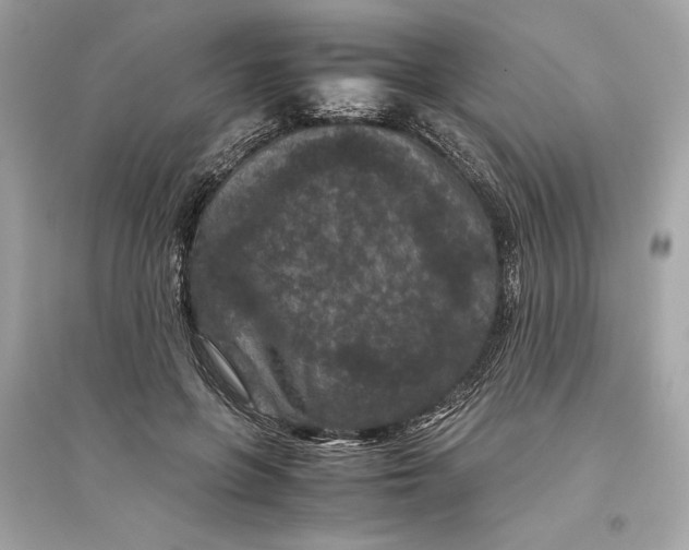 X0000094820551200711301632