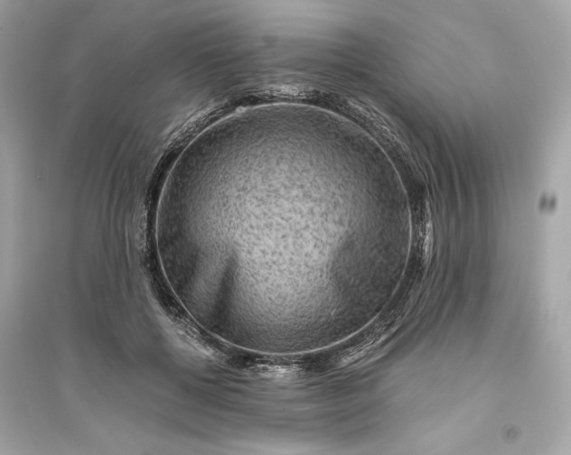 X0000094820552200711301632