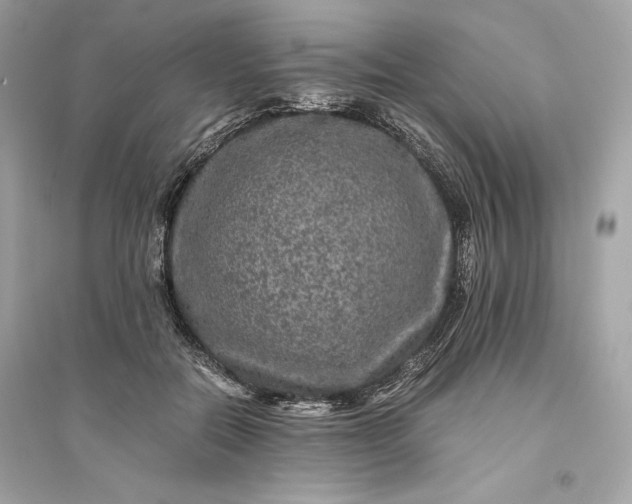 X0000094820554200711301632