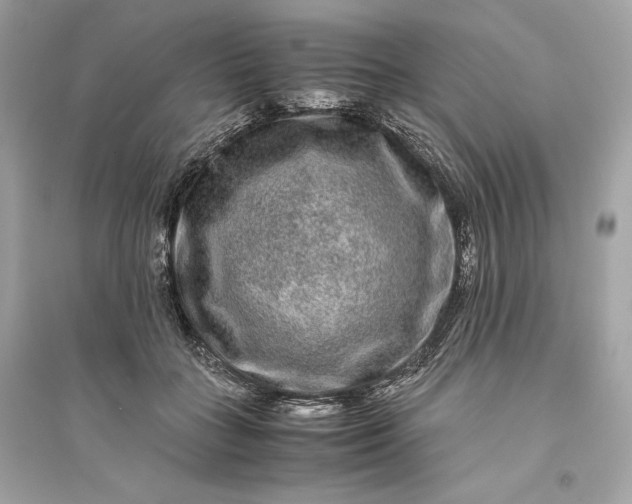 X0000094820555200711301632