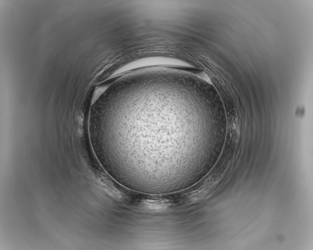 X0000094820556200711301632