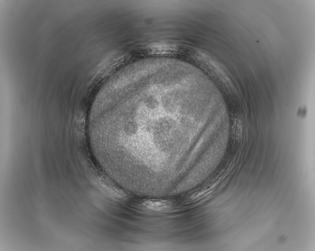 X0000094820557200711301632