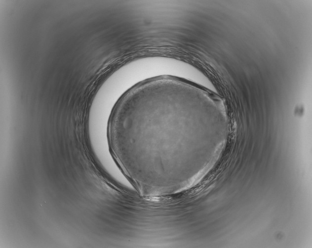 X0000094820558200711301632