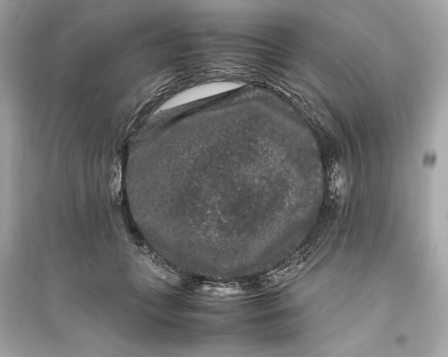 X0000094820559200711301632