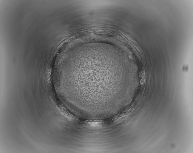 X0000094820560200711301632