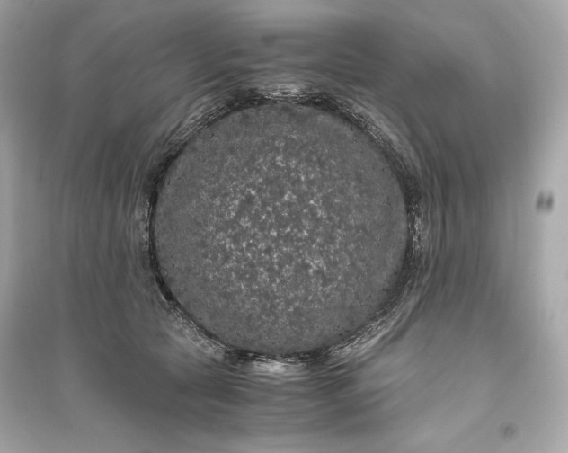 X0000094820561200711301632