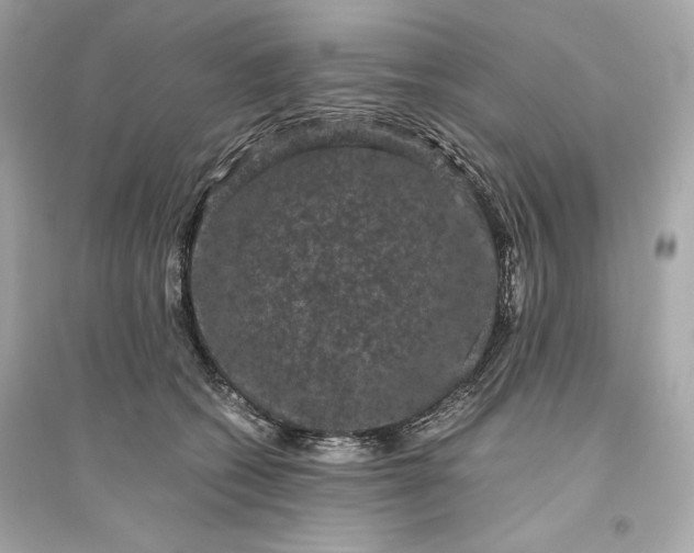 X0000094820562200711301632