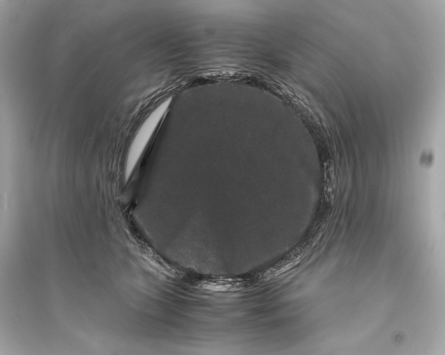 X0000094820563200711301632