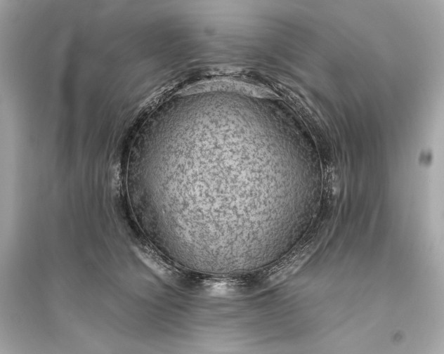 X0000094820564200711301632