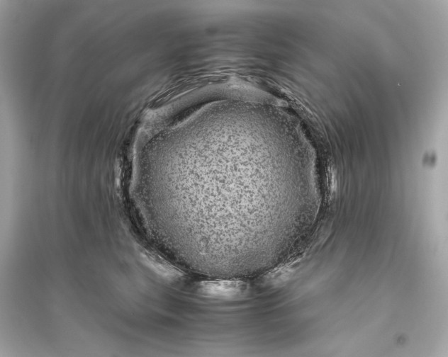 X0000094820567200711301632