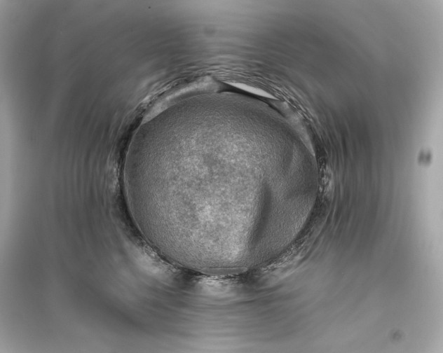 X0000094820568200711301632