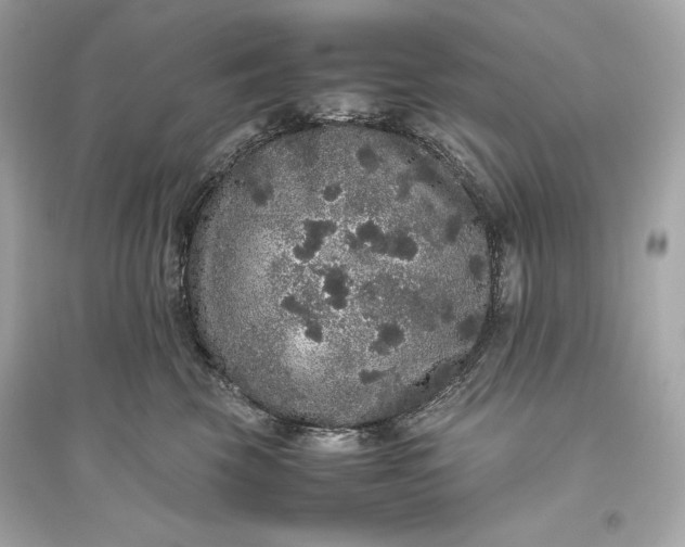 X0000094820569200711301632