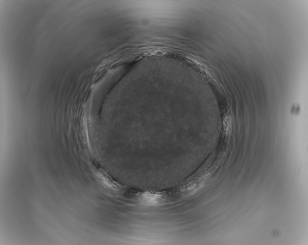 X0000094820570200711301632