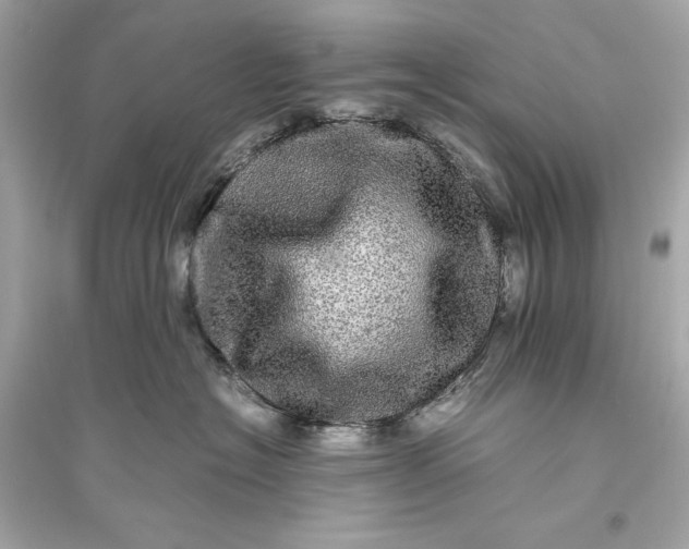 X0000094820574200711301632