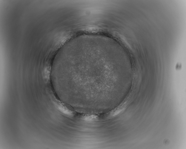 X0000094820576200711301632