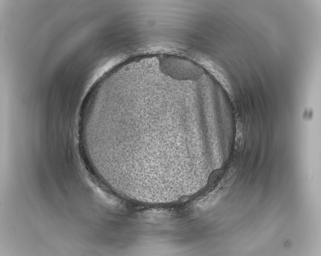 X0000094820578200711301631