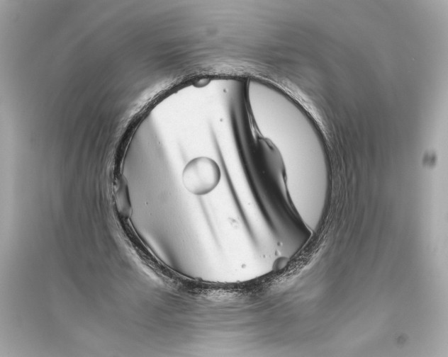 X0000094820581200711301631