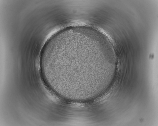 X0000094820582200711301631