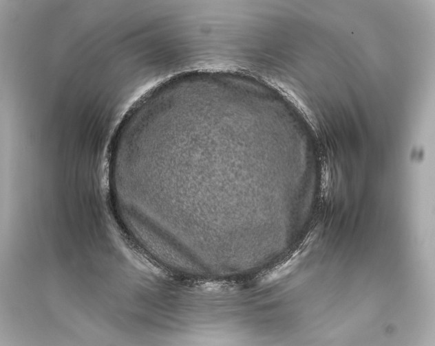 X0000094820584200711301631