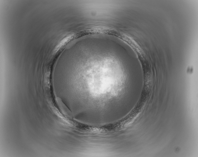 X0000094820585200711301631