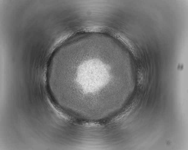 X0000094820586200711301631