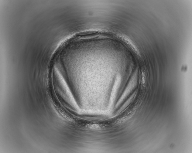 X0000094820588200711301631