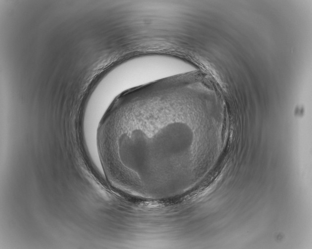 X0000094820589200711301631