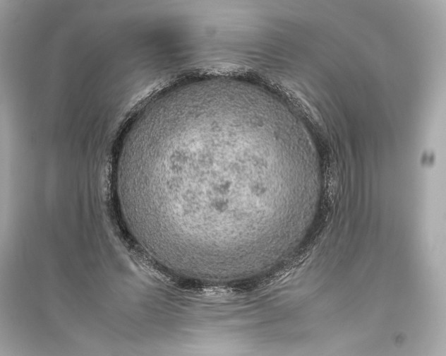 X0000094820591200711301631