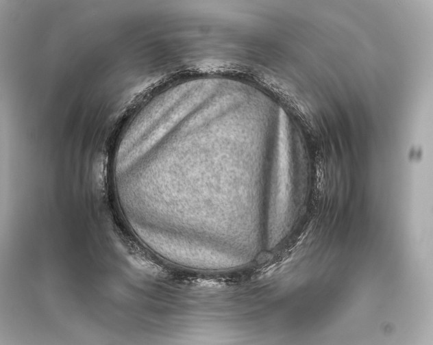 X0000094820592200711301631