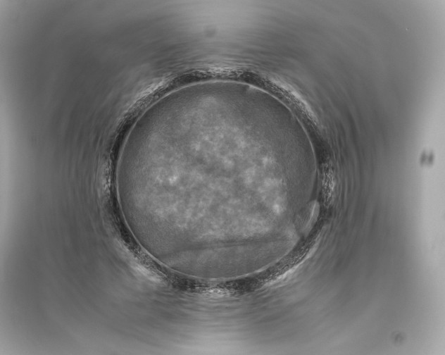 X0000094820593200711301631