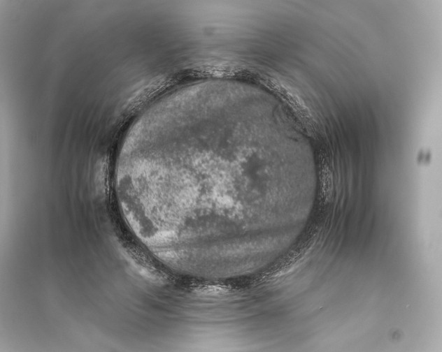 X0000094820594200711301631